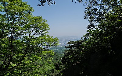 도봉산 신록