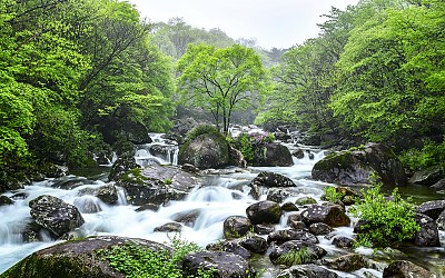 의신계곡