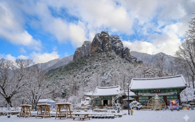 주왕산 기암 설경
