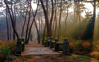 삼릉
