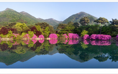 이런게 반영
