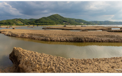 가뭄이 만든 풍경