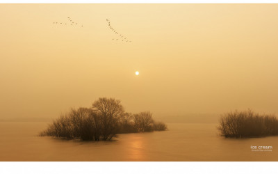 사람이나 동물이나