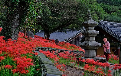 용천사