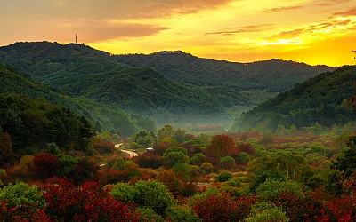 비밀의정원