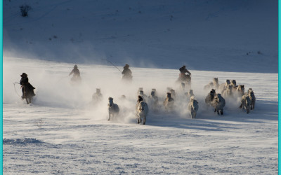 병오년 새해 복많이받으세요