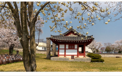 바라보며