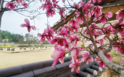 화사한 봄