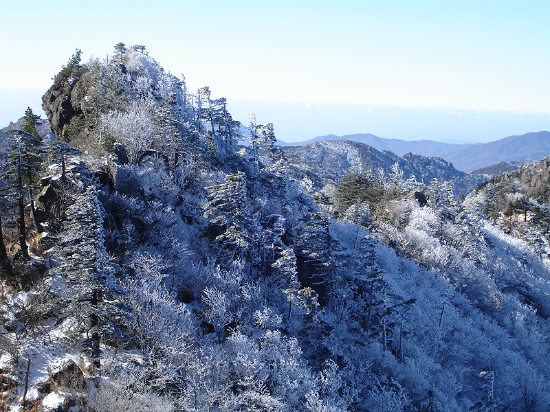 설경