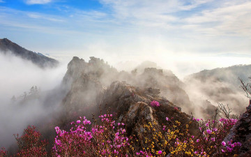 주작산 - 덕룡산(주작산)