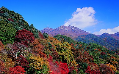 가야산 단풍(가야산)