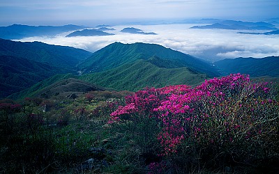 노고단의 봄(지리산)