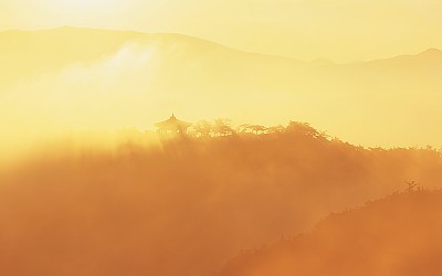 천년을 품은 산(경주 남산)