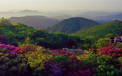 신록(무등산)