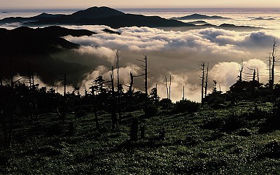제석봉 운해(지리산)