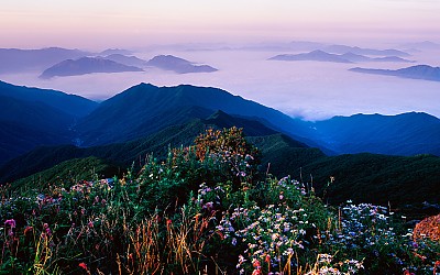 산상 화원(지리산)