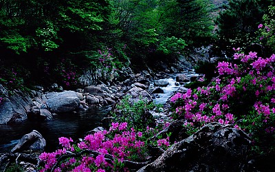 合唱(지리산)