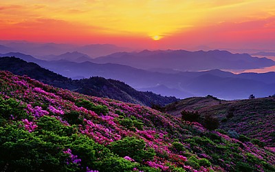 황혼의 아침(일림산)