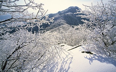 팔공산 서봉(팔공산)