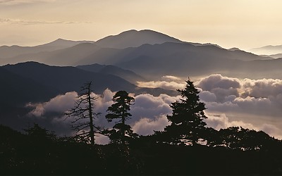 구름 마중간 산