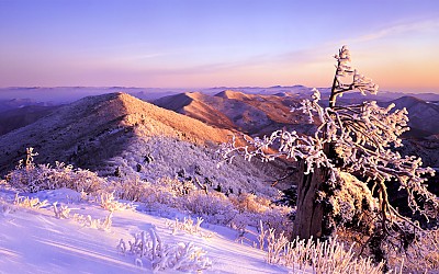 함백산 설경