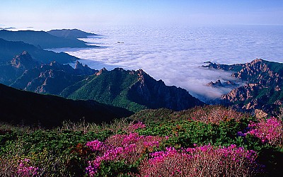 설악의 봄