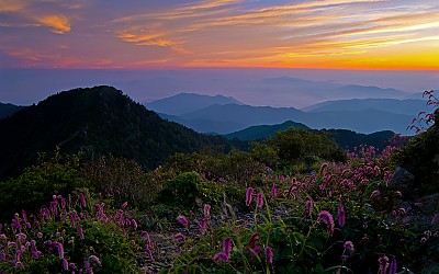 천왕봉의 여름