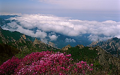 설악산의 봄