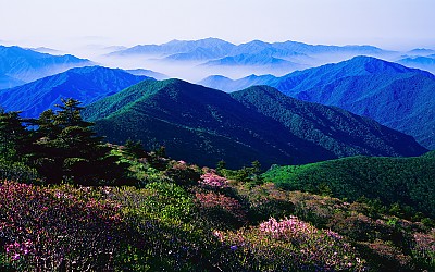반야봉의 봄