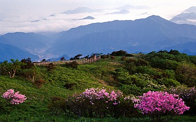 소백산의 봄