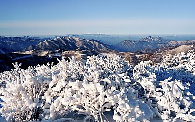 함백산 설경(함백산)
