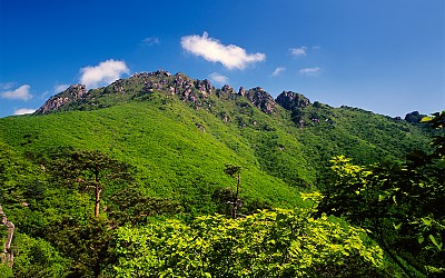 가야산 신록