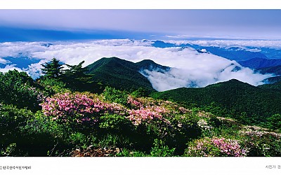 고산의 봄