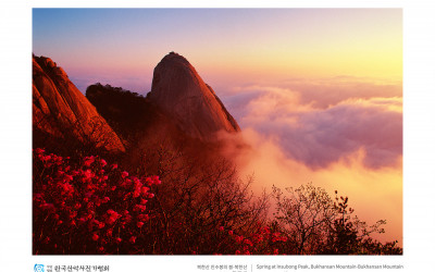 북한산 인수봉의 봄