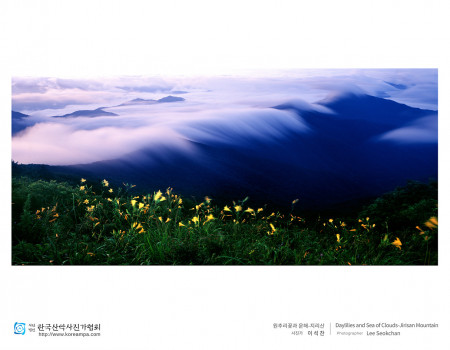 원추리꽃과 운해