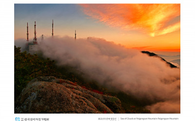팔공산의 운해