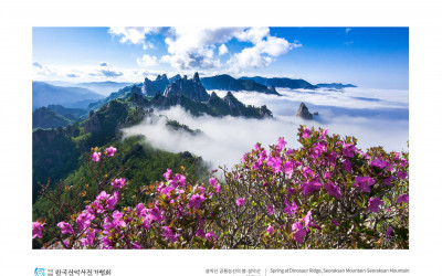 설악산 공룡능선의 봄
