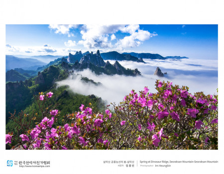 설악산 공룡능선의 봄