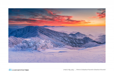소백산의 겨울