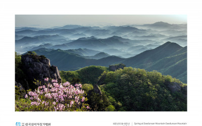 대둔산의 봄