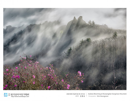 문장대에 진달래 필 때