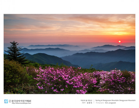 덕유의 봄