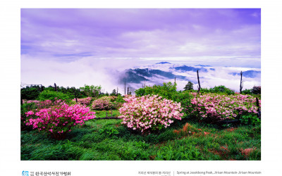 지리산 제석봉의 봄
