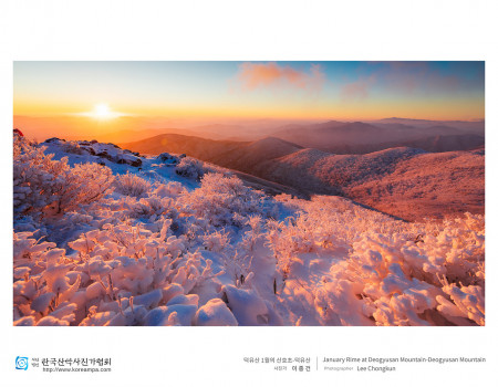 덕유산 1월의 산호초