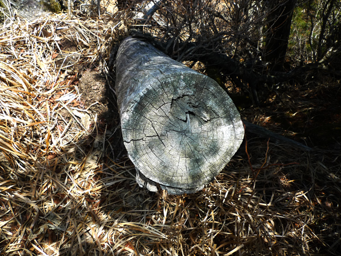 씁쓸했습니다..
무지한.. 그러나 그들도 나름대로의 변명이 있겠지요..

동부능선, 삼도봉에서 세석구간 온 지리산을 고사목을베어서 
길을 막아 놓았더군요. 지리산도  고즈넉한 산 길들이 많이 사라져 가고
있는 것이 안타울까울 뿐입니다