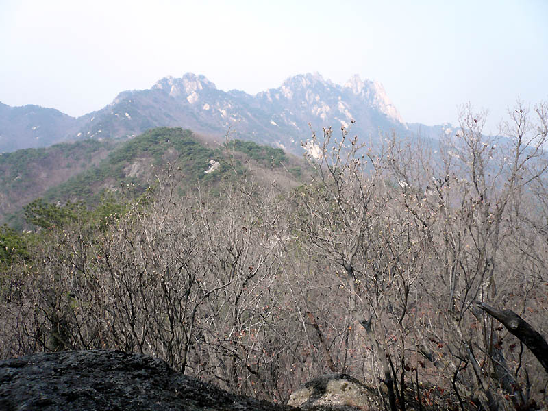 (이곳은 김인배 감사님의 관할인데... 정찰임무 보고입니다.)