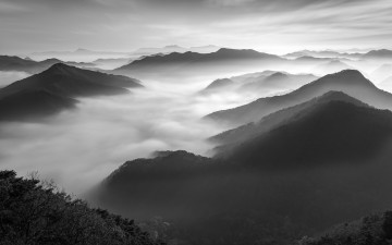 골 깊은 어깨산