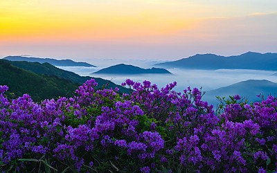팔랑치의 아침