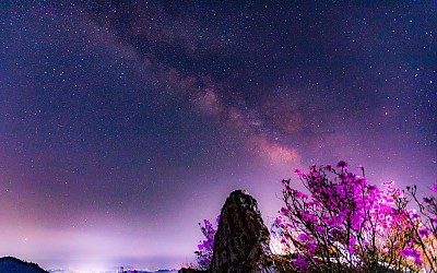 또 다녀 왔습니다