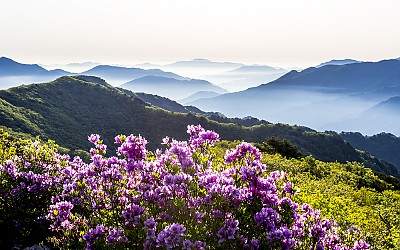 봄